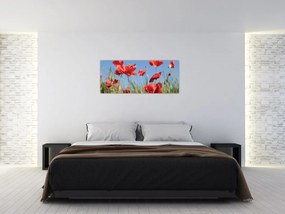 Tablou - Maci (120x50 cm)