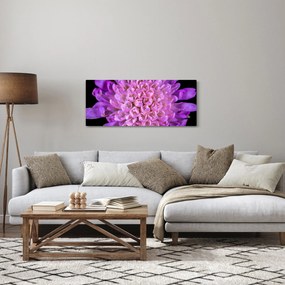 Tablou detailat cu floare (120x50 cm)