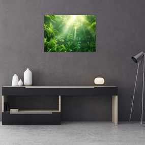 Tablou pe sticlă - Pădurea tropicală (70x50 cm)
