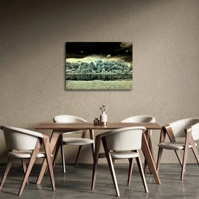 Tablou suprafeței de apă (70x50 cm)