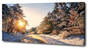 Tablou canvas Drumul în pădure de iarnă