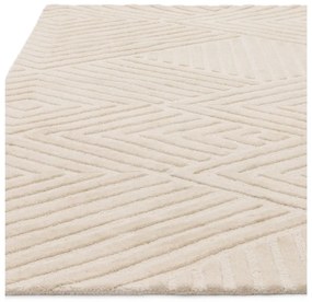 Covor crem din lână 160x230 cm Hague – Asiatic Carpets