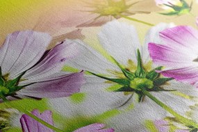 Tablou flori de grădină