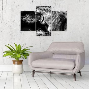 Tablou - Portretul unei leoaice (90x60 cm)