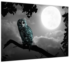 Tablou - Bufniță de noapte, albastru (70x50 cm)