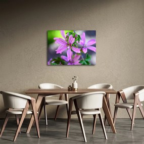 Tablou cu floarea detailat (70x50 cm)