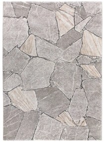 Covor gri 160x230 cm Kivet – Universal