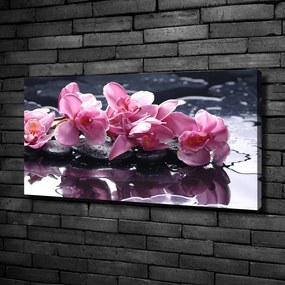 Tablou pe pânză canvas Orhidee roz