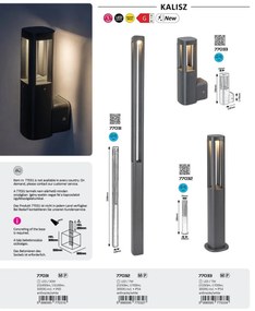 Aplica de perete exterior IP54 LED Kalisz