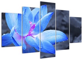 Tablou florilor în detailu (150x105 cm)