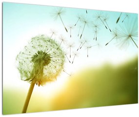 Tablou - Păpădia în vânt (90x60 cm)