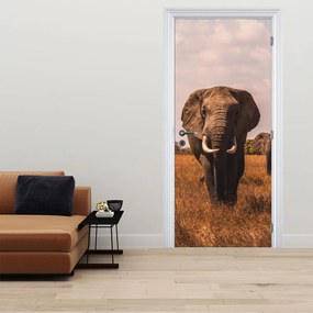Fototapet pentru ușă - Sosirea elefantului (95x205cm)
