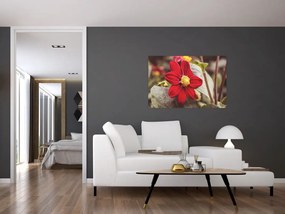 Tablou cu floare (90x60 cm)