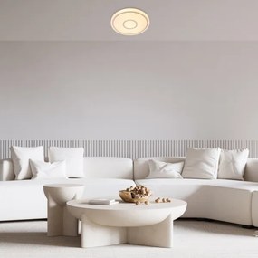 Rabalux 71117 - Plafonieră LED TAYTUM LED/25W/230V 3000K