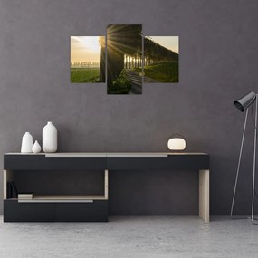 Tablou cu alee (90x60 cm)