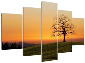 Tablou cu apus de soare pe o luncă (150x105 cm)