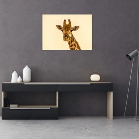 Tablou pe sticlă cu girafe (70x50 cm)