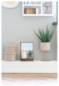 Plantă artificială (înălțime 51 cm) Aloe Vera – House Nordic