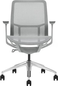 Emily Grey Ergo F5-G01 – Scaun ergonomic premium, Mesh respirabil 4D, înclinare cu blocare, înălțime reglabila, cadru din nylon, bază din aluminiu, Gri