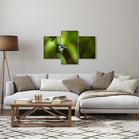 Tablou cu păun (90x60 cm)