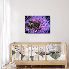 Tablou pe sticlă cu albina pe floare (70x50 cm)