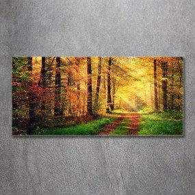 Pictura pe sticlă acrilică Pădure în toamna