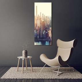 Pictură pe pânză New York pasăre de zbor