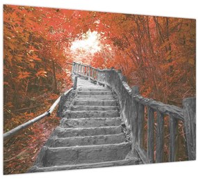Tablou - Scări în natură, portocaliu (70x50 cm)