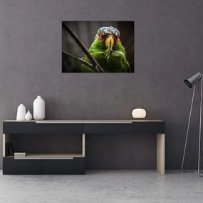 Tablou pe sticlă cu papagal (70x50 cm)