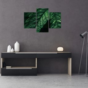 Tablou - Detaliu al foii (90x60 cm)