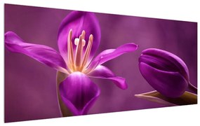 Tablou cu floare violet (120x50 cm), în 40 de alte dimensiuni noi