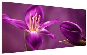 Tablou cu floare violet (120x50 cm), în 40 de alte dimensiuni noi