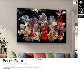 Tablou de perete decorativ Peces Siam, 150x100cm