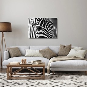 Tablou pe sticlă cu zebră (70x50 cm)