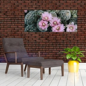 Tablou floare de cactus (120x50 cm)