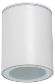 Spot de exterior AQILO 1xGU10/7W/230V IP65 alb Kanlux 33360
