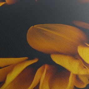 Tablou - Floarea-soarelui în fundal negru (cu ceas) (90x30 cm)