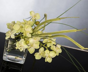 Aranjament floral mic decor festiv design LUX ETERNITY CUBO MINI PHALAENOPSI