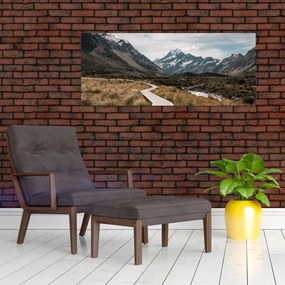 Tablou - Poteca în valea muntelui Mt. Cook (120x50 cm)