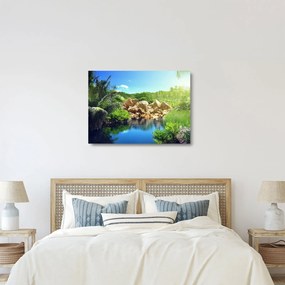 Tablou pe sticlă cu lac în jungla din Seychelles (70x50 cm)