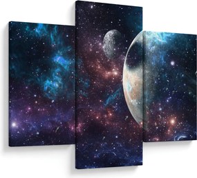 Tablou cu cosmos (90x60 cm)