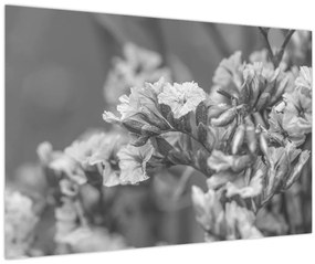 Tablou - Flori uscate (90x60 cm)