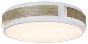 Rabalux 5646 - Plafonieră LED SALMA reglabilă, 24W, 230V