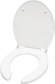 Vas WC suspendat + capac WC ETIUDA + buton SIGMA + modul încastrat + garnitură de etanșare