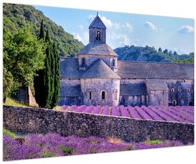 Tablou - Câmp de lavandă (90x60 cm)