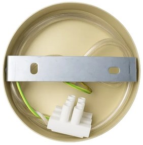 Aplică de perete CAPITAL 1xGX53/15W/230V, aurie