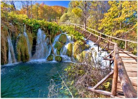 Tablou - Intrare in cascade (70x50 cm)