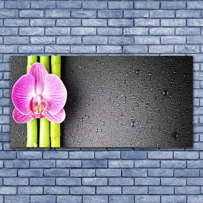 Tablouri acrilice Bamboo Tube floare verde florale roz