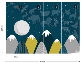 Fototapet - Constelații deasupra Munților
