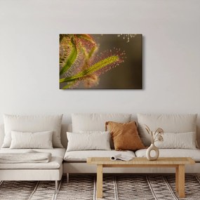 Tablou cu plantă (90x60 cm)